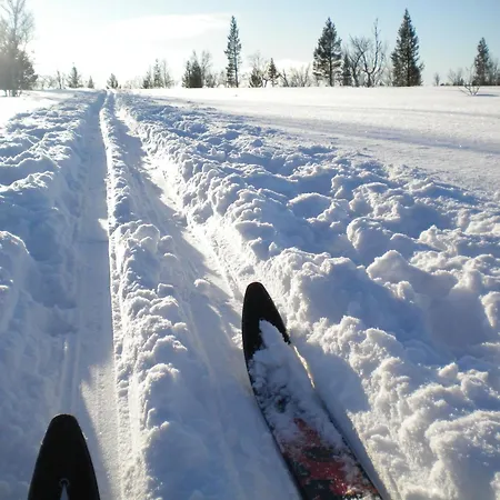 Unicare Gjesteovernatting * Røros