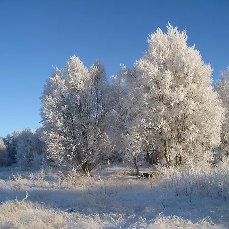 Hotell Unicare Gjesteovernatting Røros